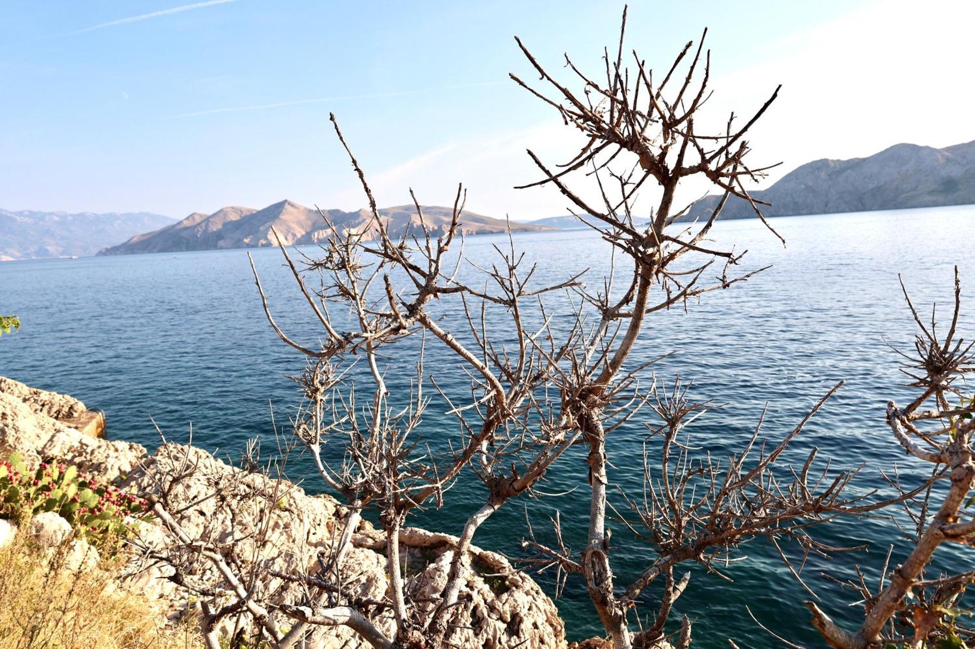 Villa Perla Baska Bagian luar foto