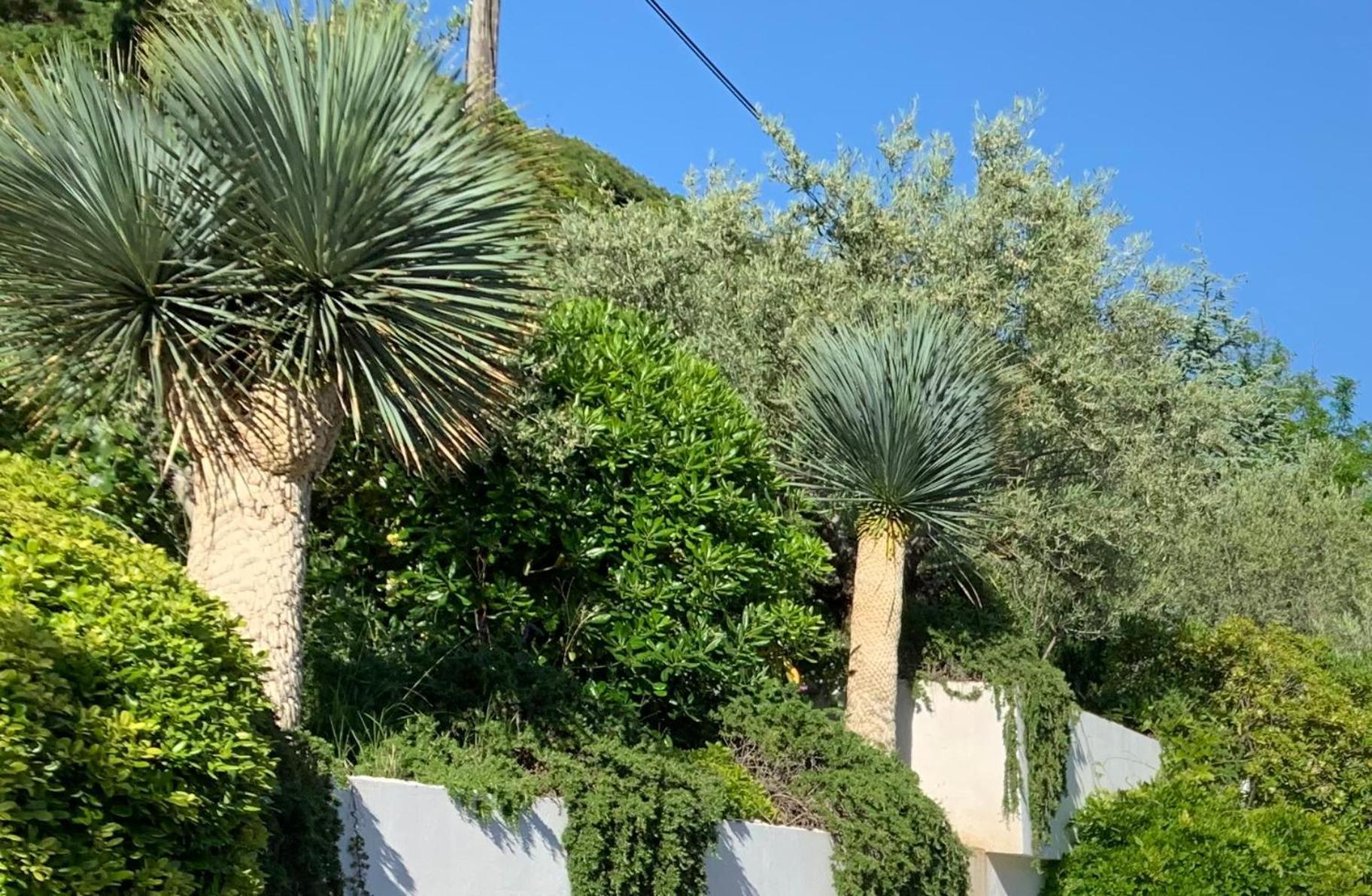 Villa Perla Baska Bagian luar foto